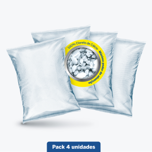 Lote de 4 Recargas Anti-Humidade 450g