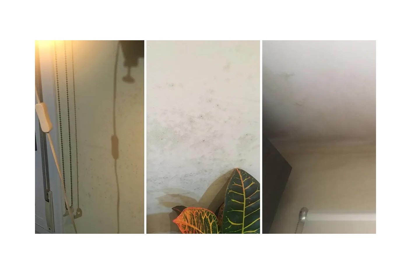 CASO REAL: Humidade durante o confinamento