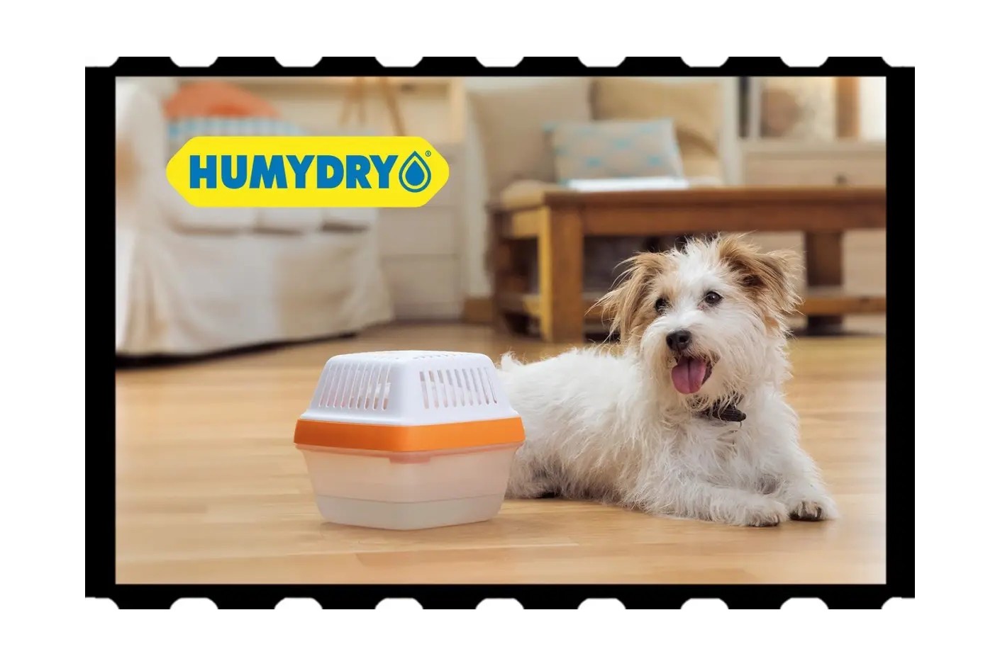 Humydry na TV “Proteja a sua casa da humidade”