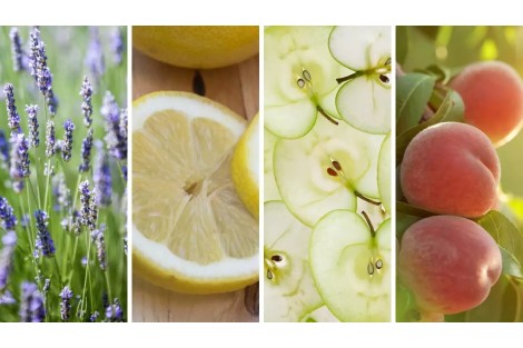 Guía de aromas para el hogar