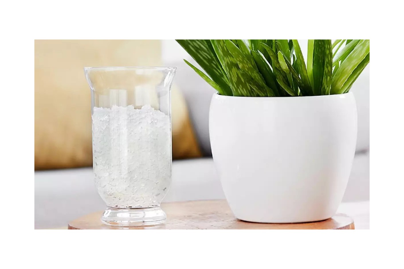 Termina con los malos olores con la gama de productos freshwave®