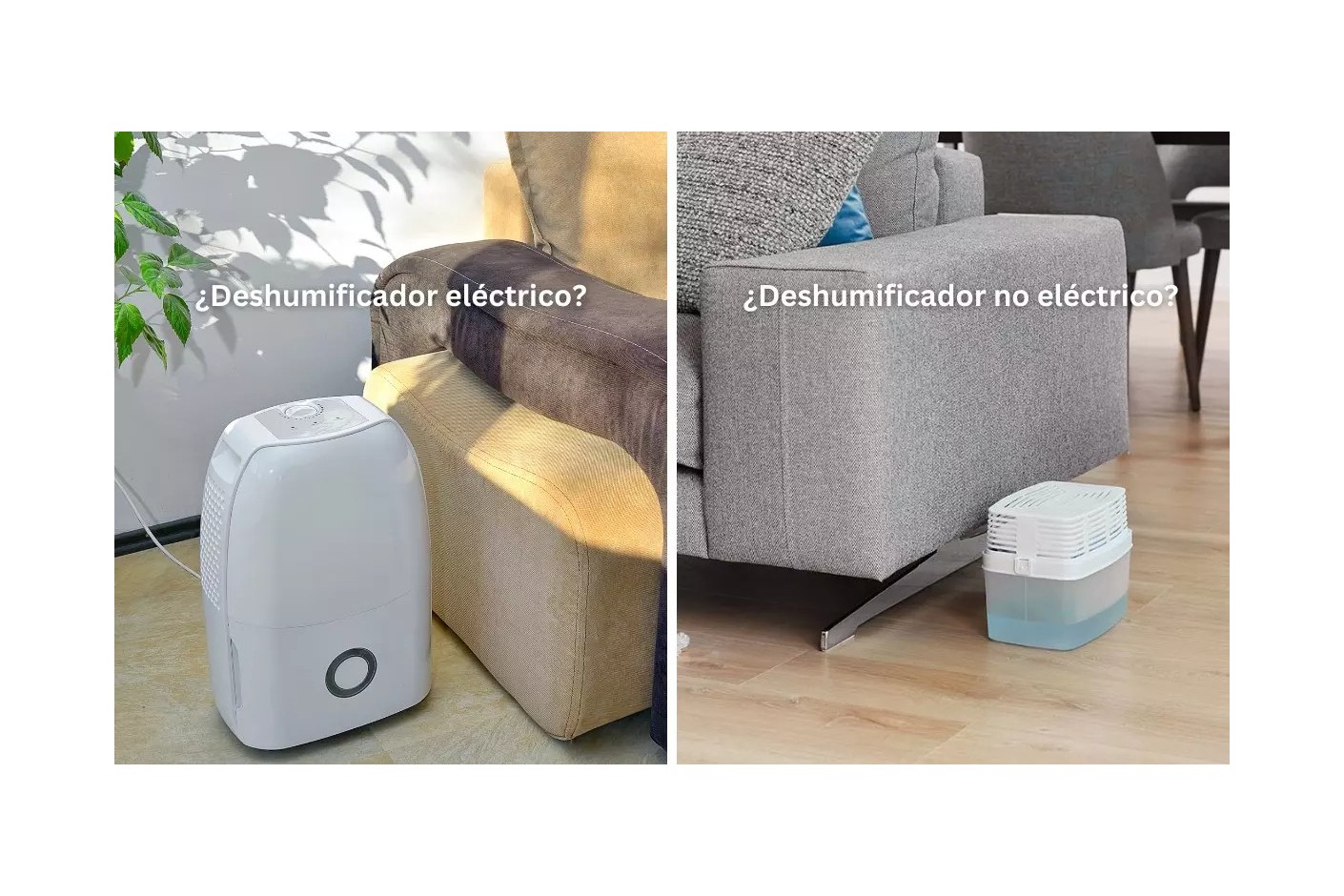 O melhor desumidificador contra problemas de humidade