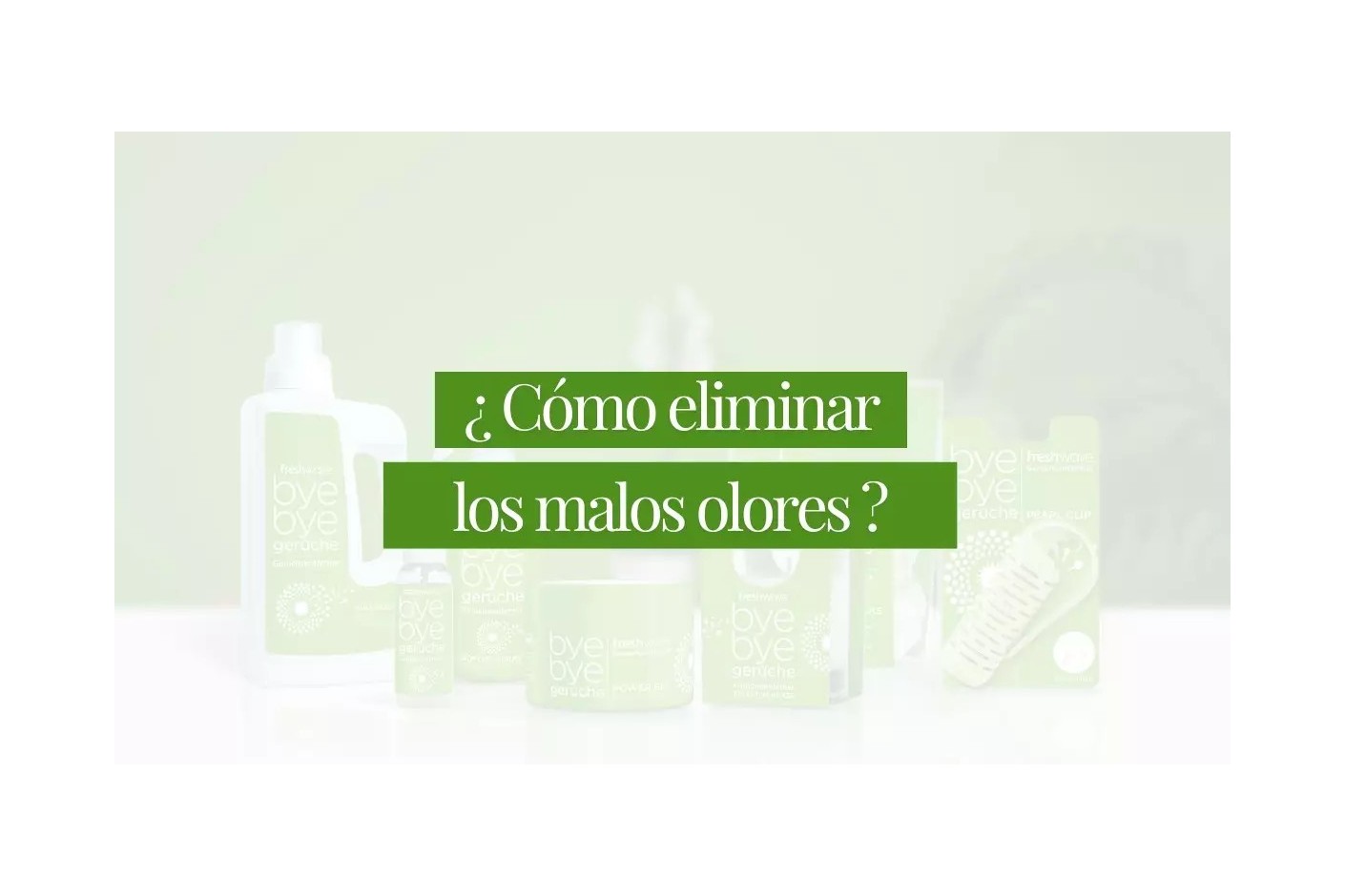 Como eliminar os odores da casa e da roupa