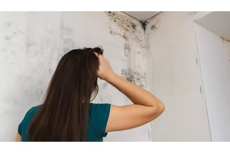 Exemplos cotidianos de humidade por condensação