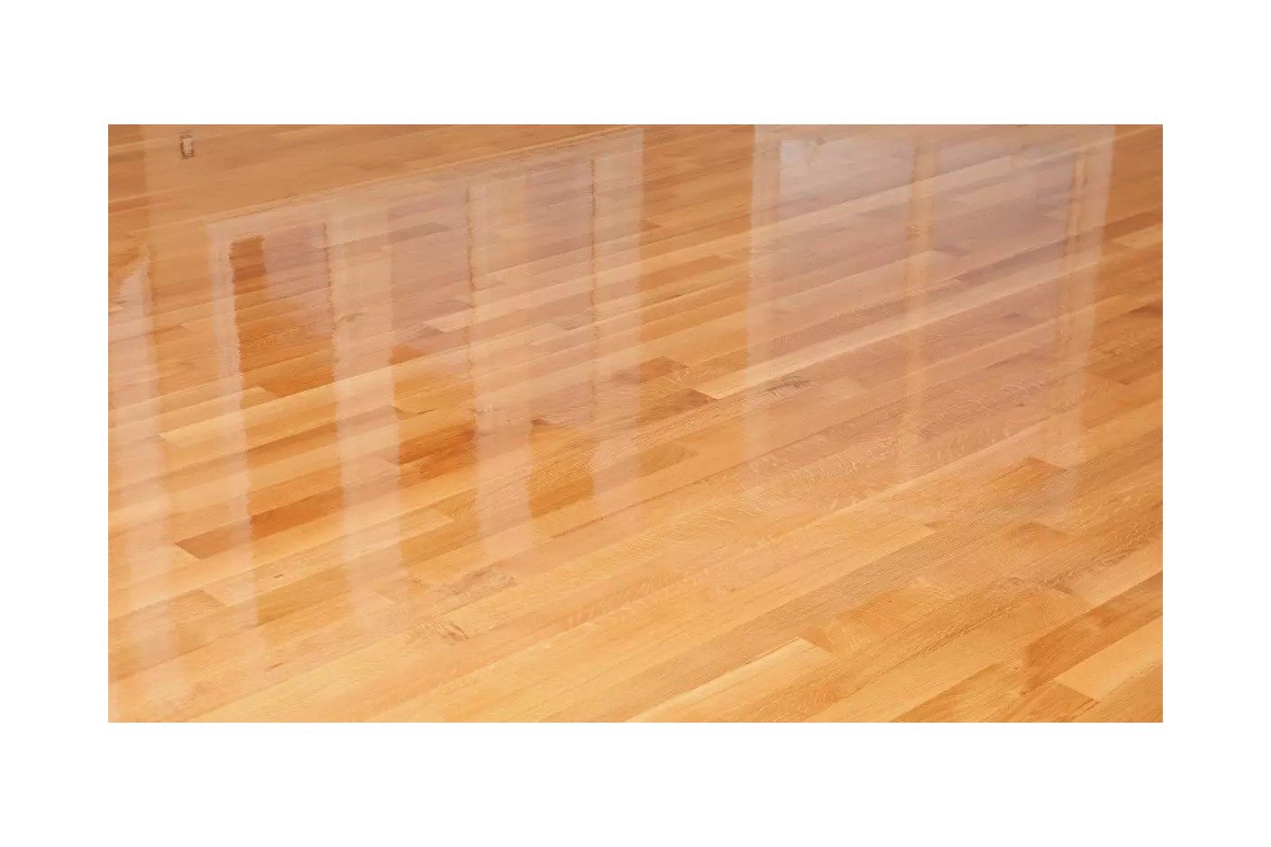 ¿Qué hacer con la humedad provocada por una inundación?