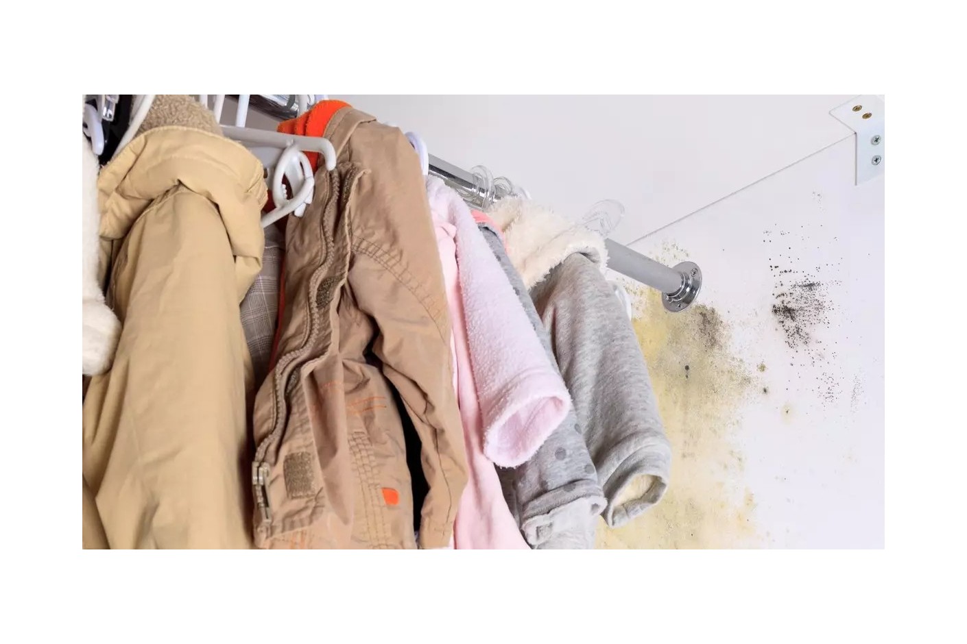 Como eliminar a humidade nos armários? - Humydry