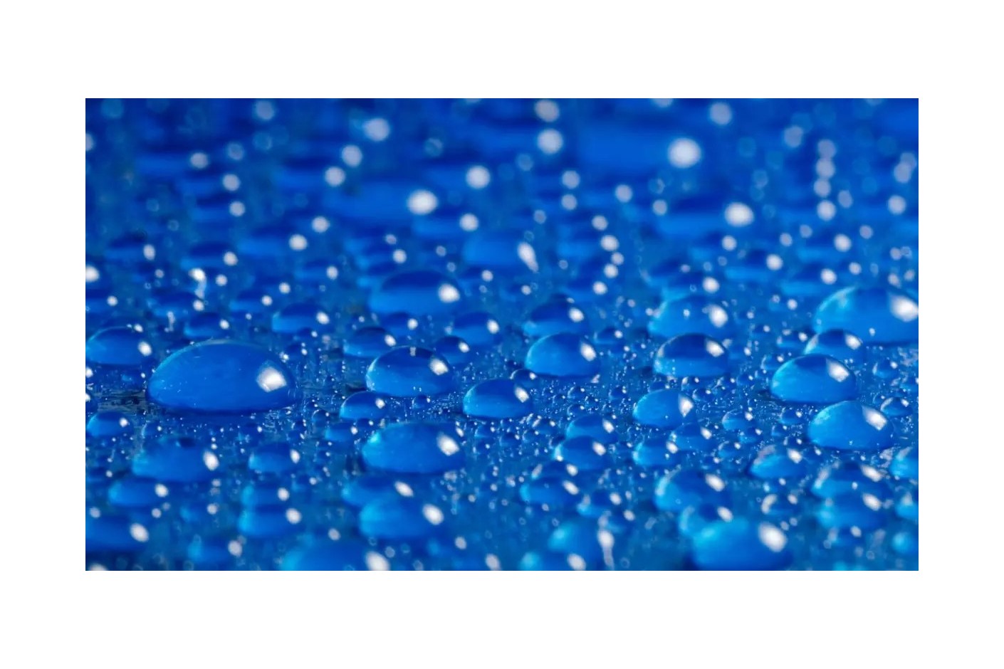 Más humedad; más productos; menos precio